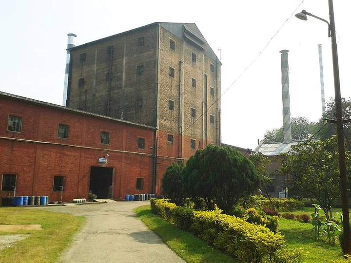কেরু অ্যান্ড কোম্পানি, দর্শনা