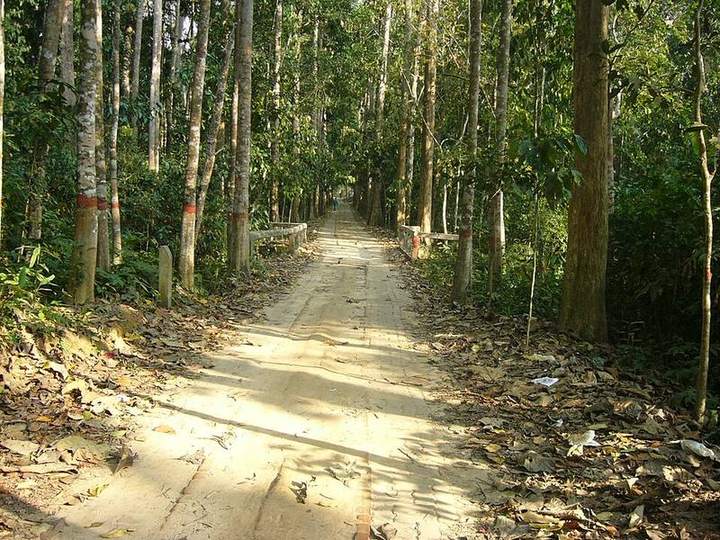 লাউয়াছড়া — ছবি 3