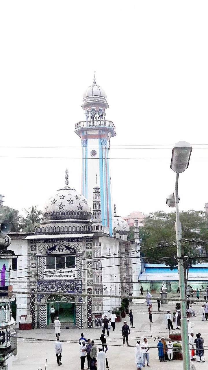 হাজীগঞ্জ বড় মসজিদ — ছবি 5