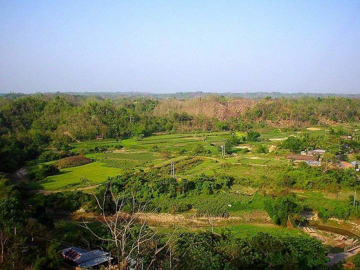 স্বর্ণমন্দির (বুদ্ধ ধাতু জাদি) — ছবি 4