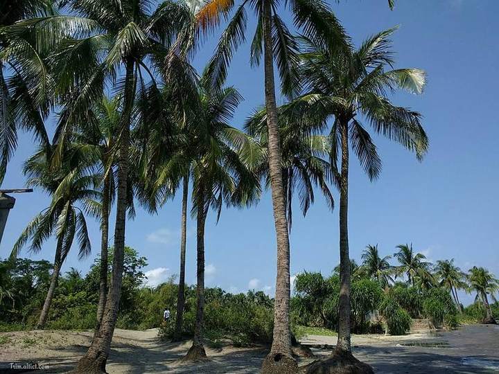 সেন্টমার্টিন দ্বীপ — ছবি 2