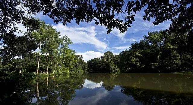 রেমা-কালেঙ্গা বন্যপ্রাণী অভয়ারণ্য