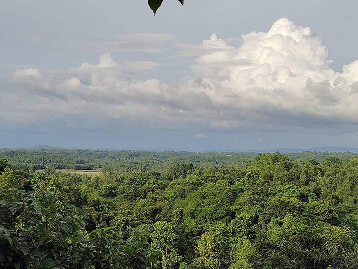 মধুটিলা ইকো পার্ক