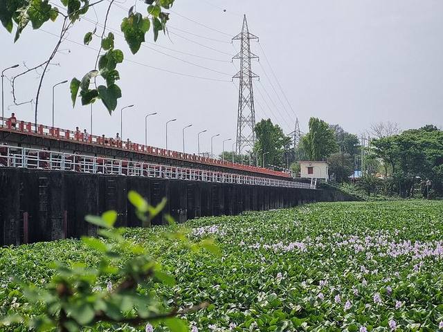 মুহুরী প্রজেক্ট — ছবি 1