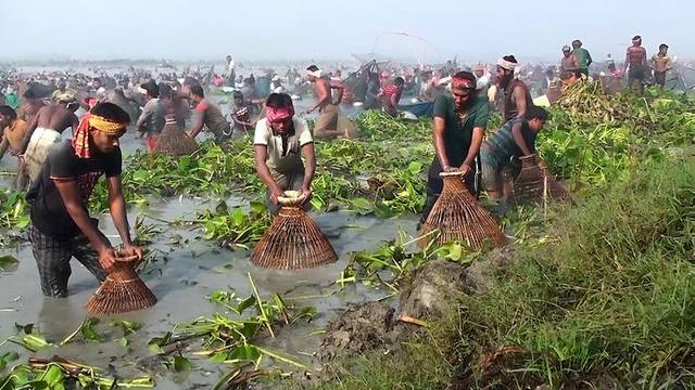 চলনবিল — ছবি 1