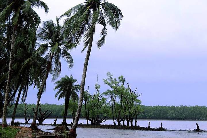 কটকা ও কচিখালী — ছবি 2