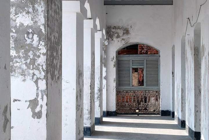 বালিয়াটি জমিদার বাড়ি — ছবি 4