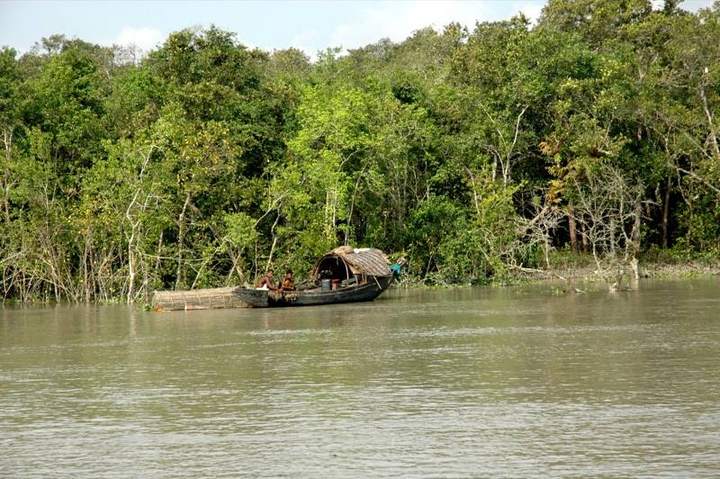 সুন্দরবন (খুলনা থেকে ট্যুর) — ছবি 4