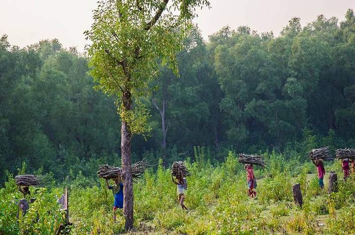 নিঝুম দ্বীপ — ছবি 3