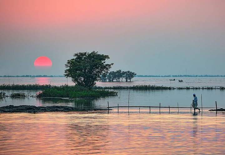 টাঙ্গুয়ার হাওর — ছবি 3