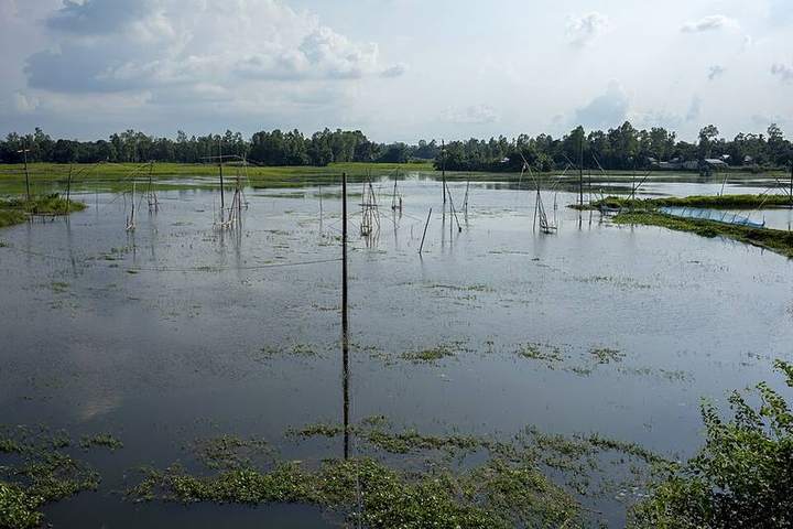 চলনবিল — ছবি 2