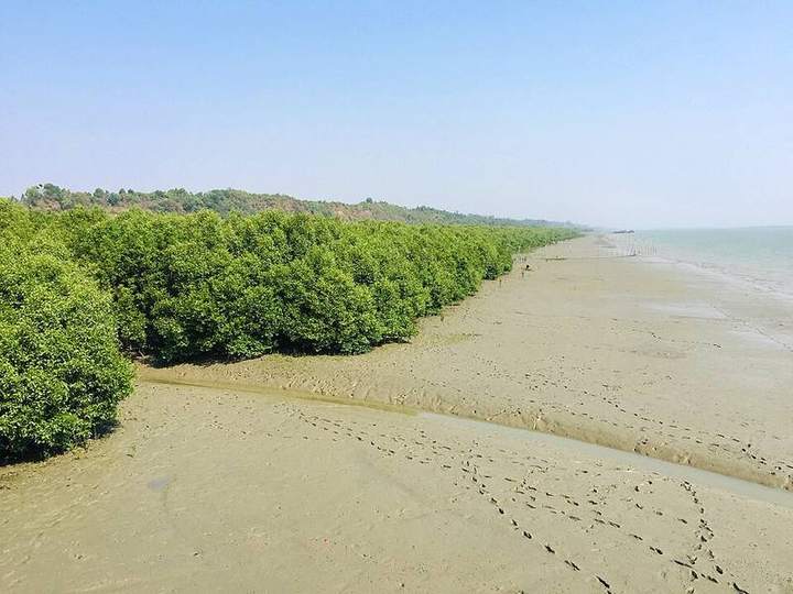 সোনাদিয়া দ্বীপ — ছবি 3
