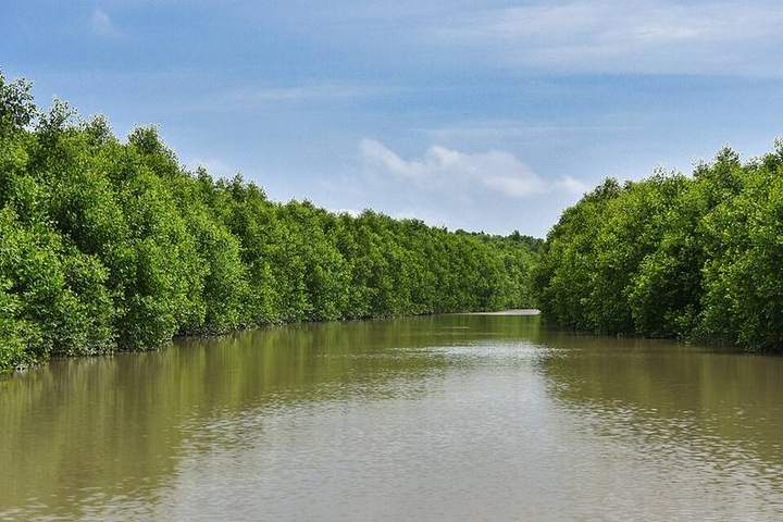 চর কুকরি-মুকরি — ছবি 3