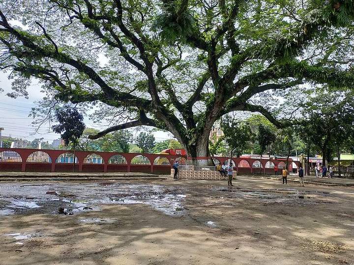 শোলাকিয়া ঈদগাহ — ছবি 2