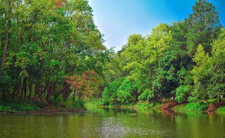 ভাওয়াল জাতীয় উদ্যান — ছবি 4
