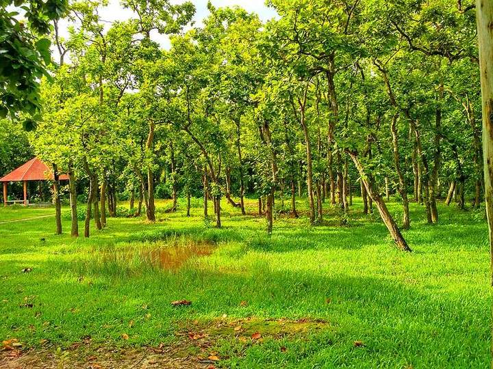 ভাওয়াল জাতীয় উদ্যান — ছবি 2