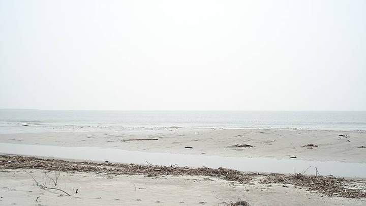 কটকা ও কচিখালী