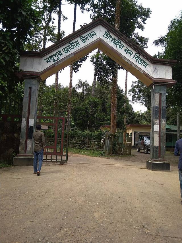 মধুপুর জাতীয় উদ্যান — ছবি 1