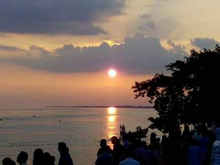 পদ্মা গার্ডেন ও টি-বাঁধ — ছবি 3