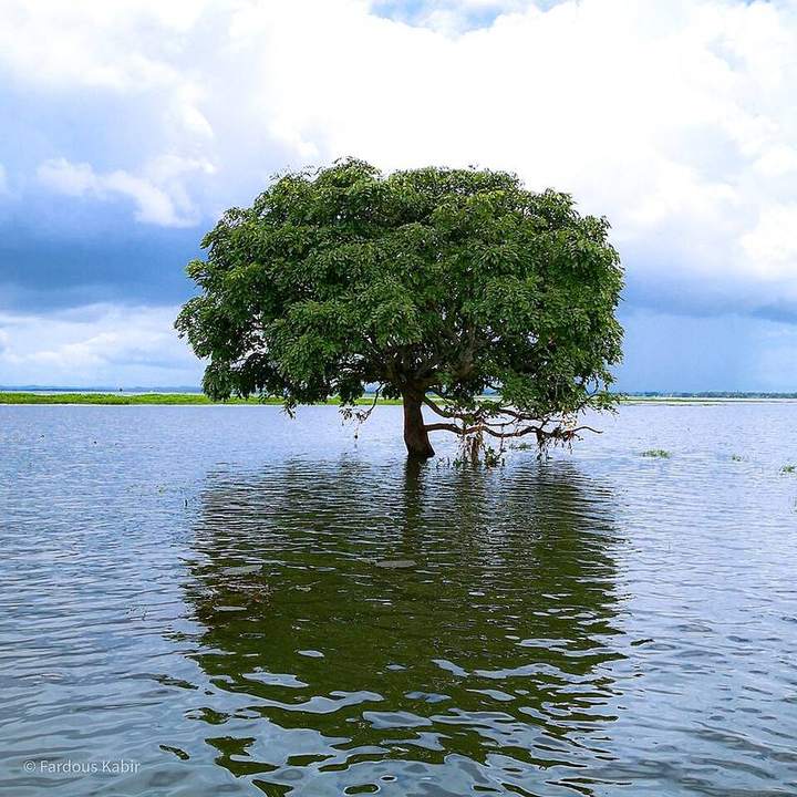 হাকালুকি হাওর — ছবি 5