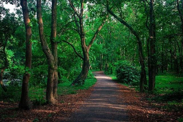 ভাওয়াল জাতীয় উদ্যান