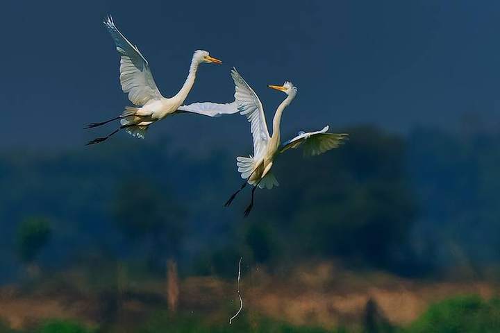 বাইক্কা বিল — ছবি 4