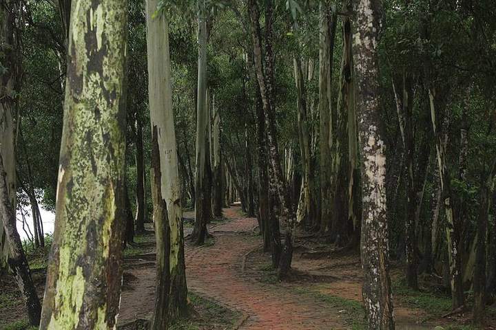 আলতাদিঘি জাতীয় উদ্যান — ছবি 3