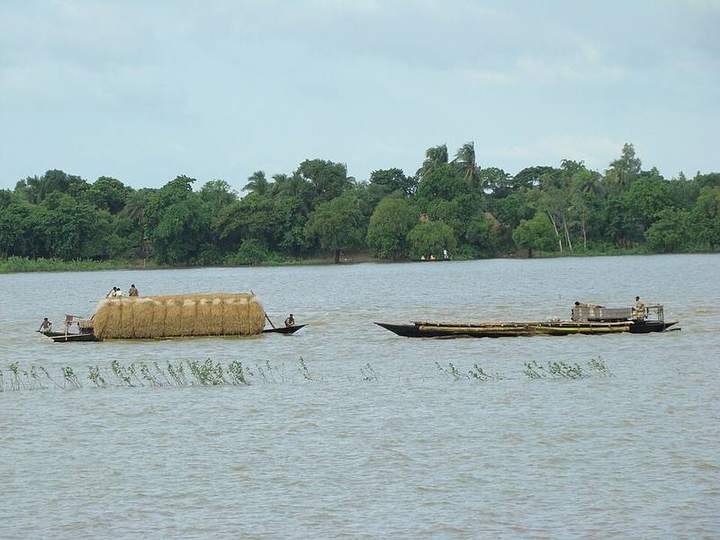 চলনবিল — ছবি 3