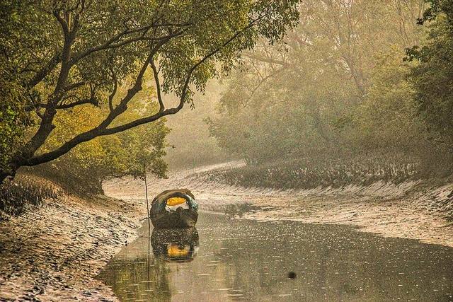 সুন্দরবন, মুন্সীগঞ্জ-কলাগাছিয়া