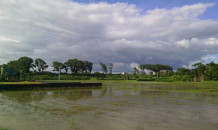 বিজয় সিংহ দিঘি