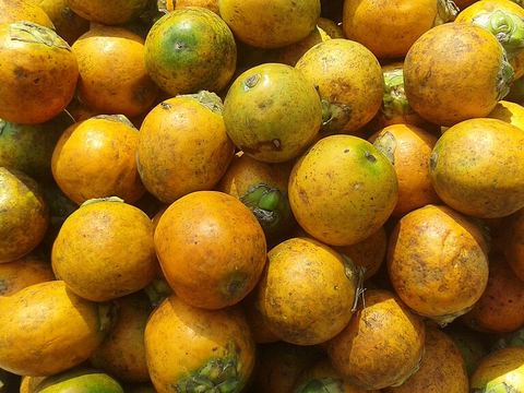 সুপারি