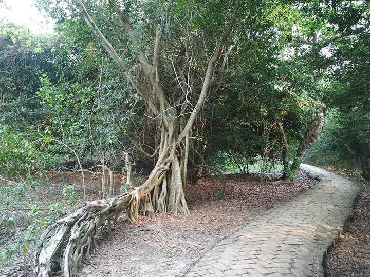 সোনাকাটা সৈকত ও টেংরাগিরি ইকোপার্ক — ছবি 2
