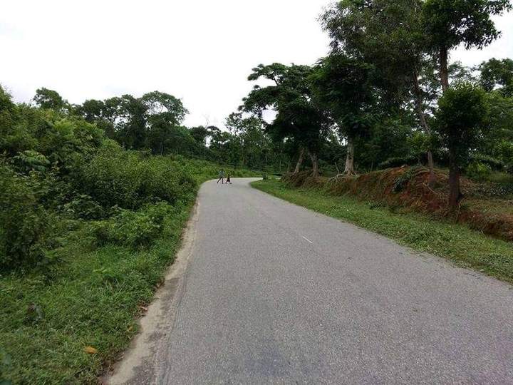 সাতছড়ি জাতীয় উদ্যান — ছবি 4