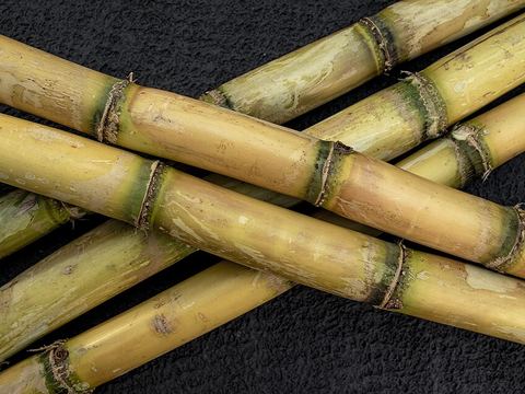 কেরুর চিনি