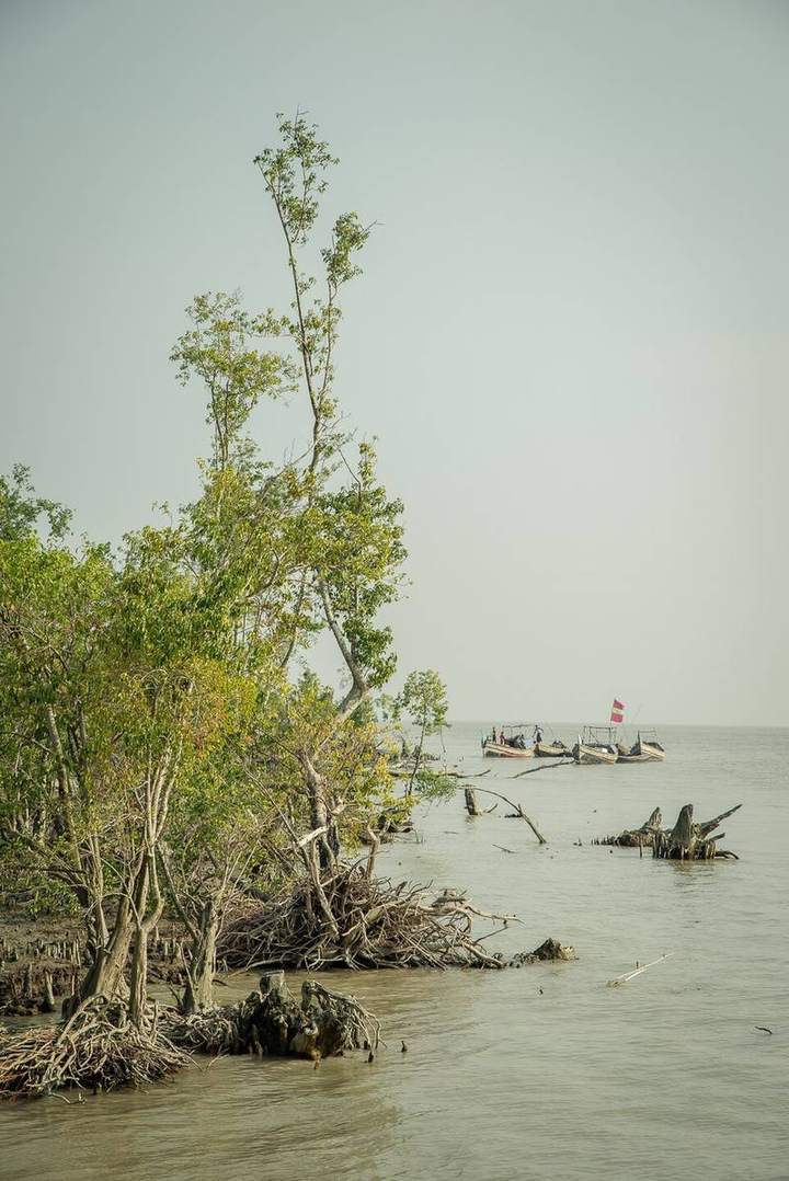 চর কুকরি-মুকরি — ছবি 5
