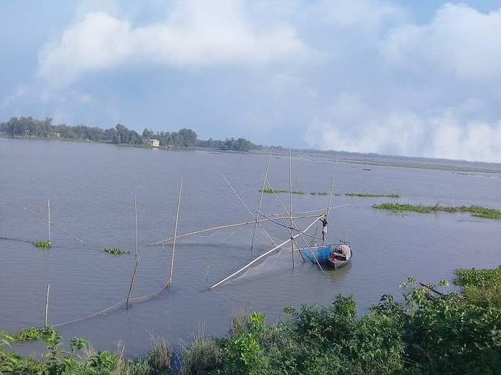 চলনবিল — ছবি 5