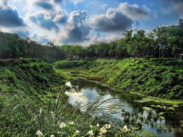ভাওয়াল জাতীয় উদ্যান — ছবি 5