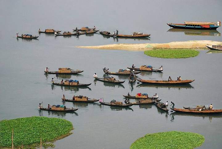 কাপ্তাই জাতীয় উদ্যান — ছবি 4