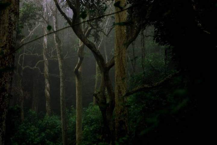 রেমা-কালেঙ্গা বন্যপ্রাণী অভয়ারণ্য — ছবি 3