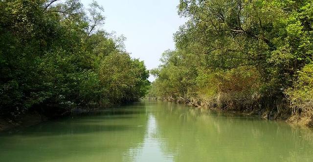 চর কুকরি-মুকরি