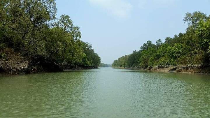 চর কুকরি-মুকরি — ছবি 4