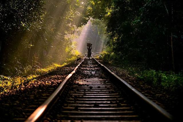 লাউয়াছড়া