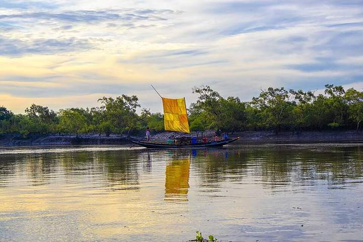 সুন্দরবন (খুলনা থেকে ট্যুর) — ছবি 2