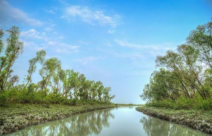 নিঝুম দ্বীপ — ছবি 4