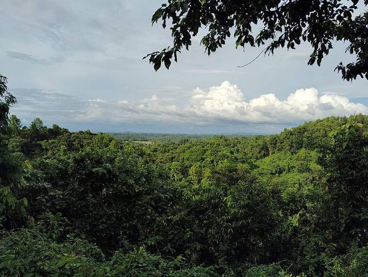 মধুটিলা ইকো পার্ক — ছবি 2