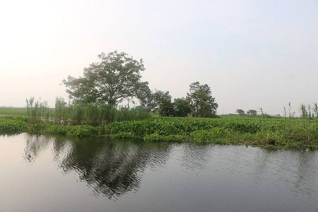 আড়িয়াল বিল